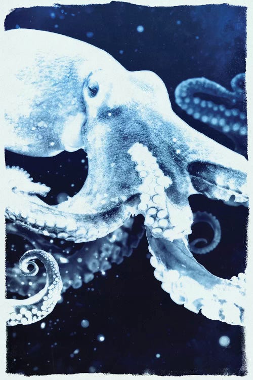 Indigo Octopus by 33 Broken Bones wall art