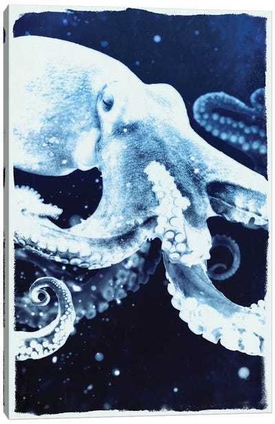 Indigo Octopus Canvas Art Print - 33 Broken Bones