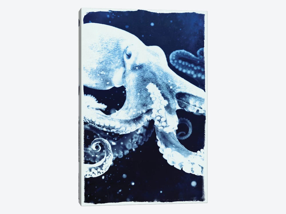 Indigo Octopus by 33 Broken Bones 1-piece Canvas Art Print
