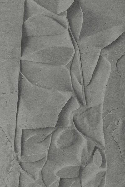 33 Broken Bones: Midcentury Modern Floral In Grey I by 33 Broken Bones
