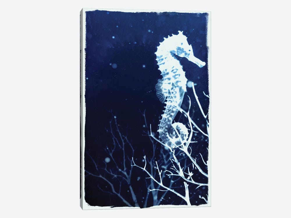 Indigo Seahorse by 33 Broken Bones 1-piece Canvas Art
