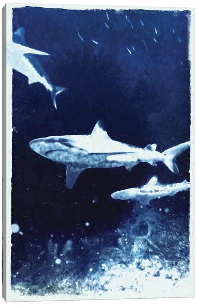 Indigo Sharks Canvas Art Print - 33 Broken Bones