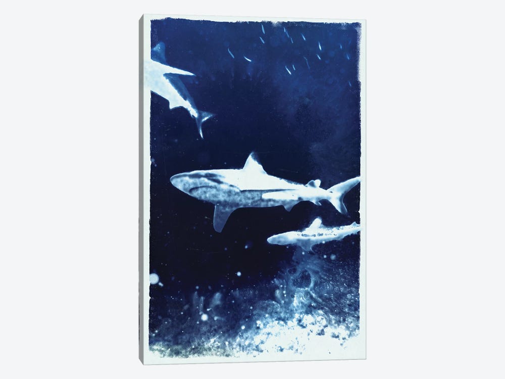 Indigo Sharks by 33 Broken Bones 1-piece Canvas Art Print