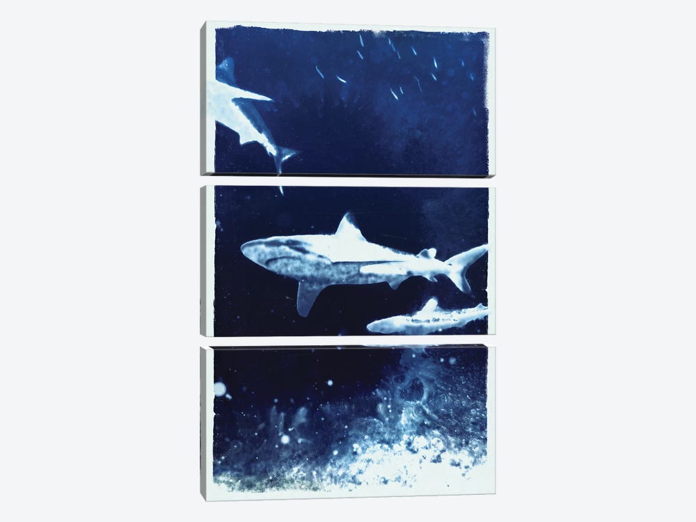 Indigo Sharks by 33 Broken Bones 3-piece Canvas Print
