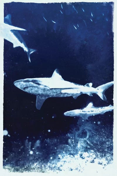 33 Broken Bones: Indigo Sharks by 33 Broken Bones