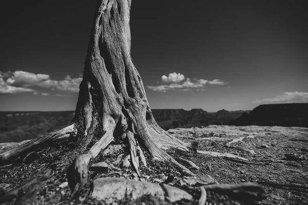 Grand Canyon National Park: Grand Canyon II by 33 Broken Bones