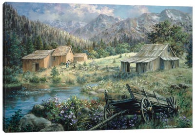 Country Canvas Art Print - Nicky Boehme