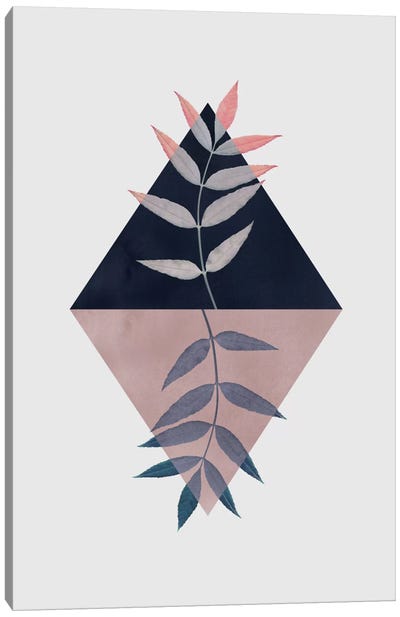 Geometry And Nature III Canvas Art Print - Mareike Böhmer