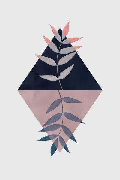 Abstract Floral & Botanical: Geometry And Nature III by Mareike Böhmer