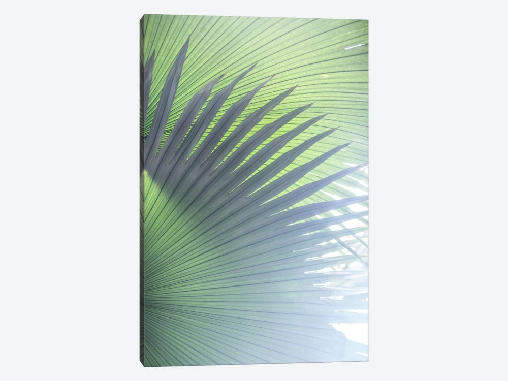 Palm Leaves V by Mareike Böhmer 1-piece Canvas Artwork