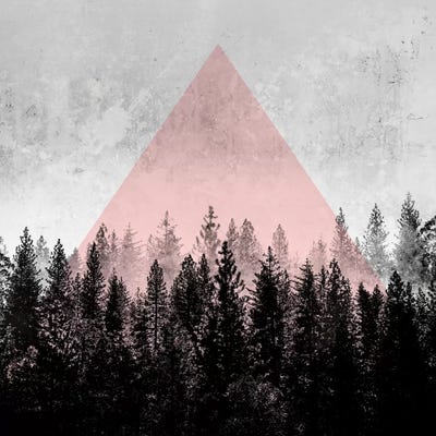 Woods III.X by Mareike Böhmer framed wall art