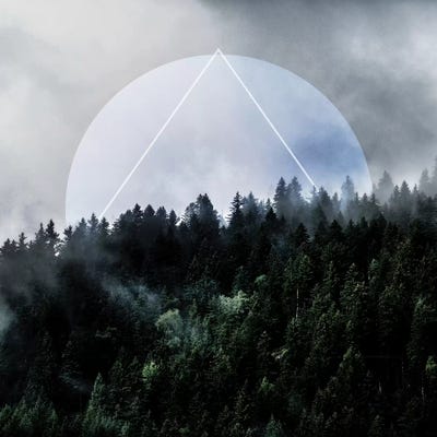 Foggy Woods III by Mareike Böhmer framed wall art