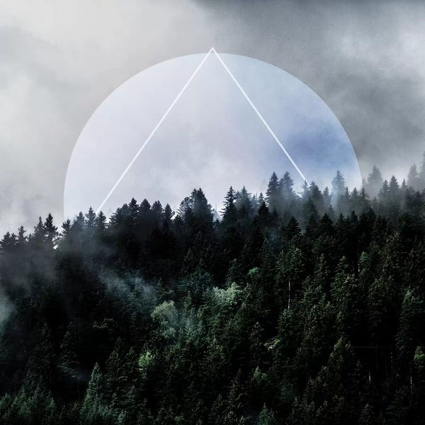 Mist & Fog: Foggy Woods III by Mareike Böhmer