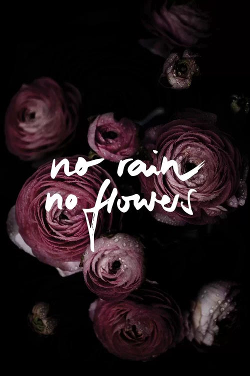 No Rain No Flowers by Mareike Böhmer wall art