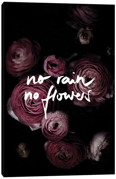 No Rain No Flowers Canvas Art Print - Wisdom Art