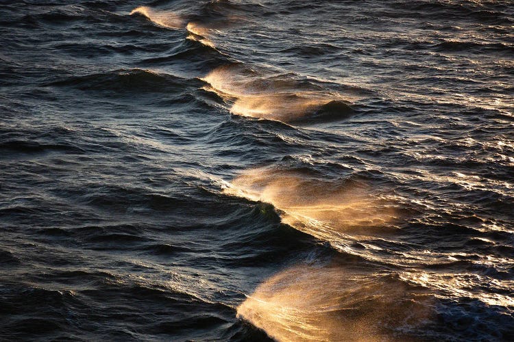 Sunkissed Waves