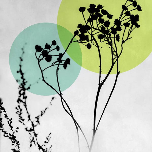 Abstract Flowers II