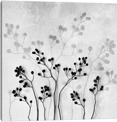 Abstract Flowers V Canvas Art Print - Mareike Böhmer