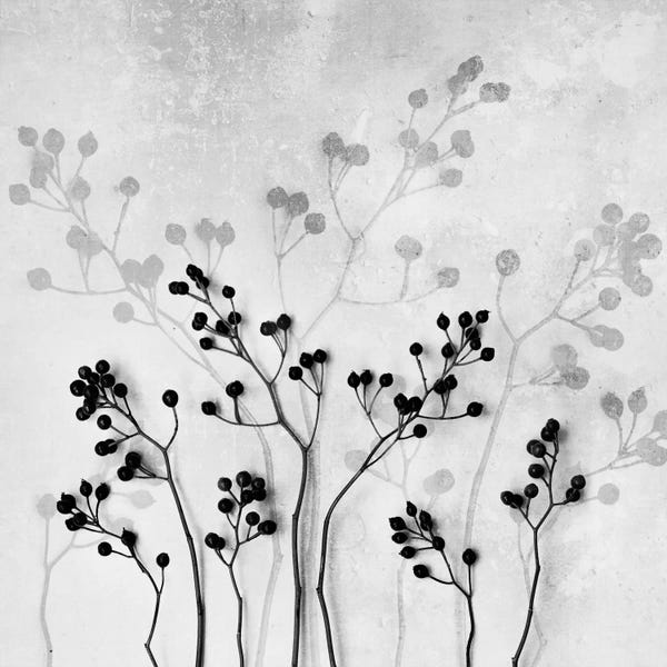Black & White Minimalist Décor: Abstract Flowers V by Mareike Böhmer