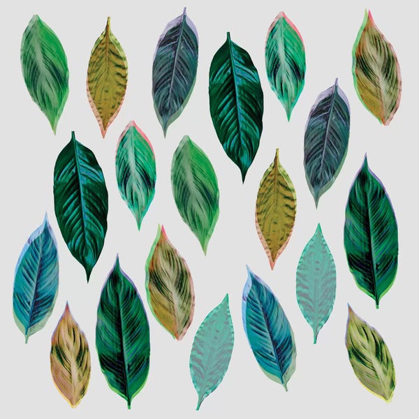 Tropical Leaves: Green Leaves II by Mareike Böhmer
