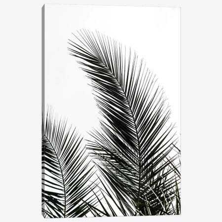 Palm Leaves I Canvas Print #BOH82} by Mareike Böhmer Art Print