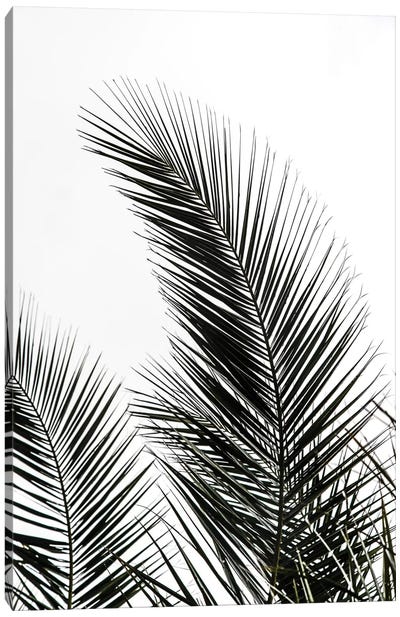 Palm Leaves I Canvas Art Print - Minimalist Bathroom Art