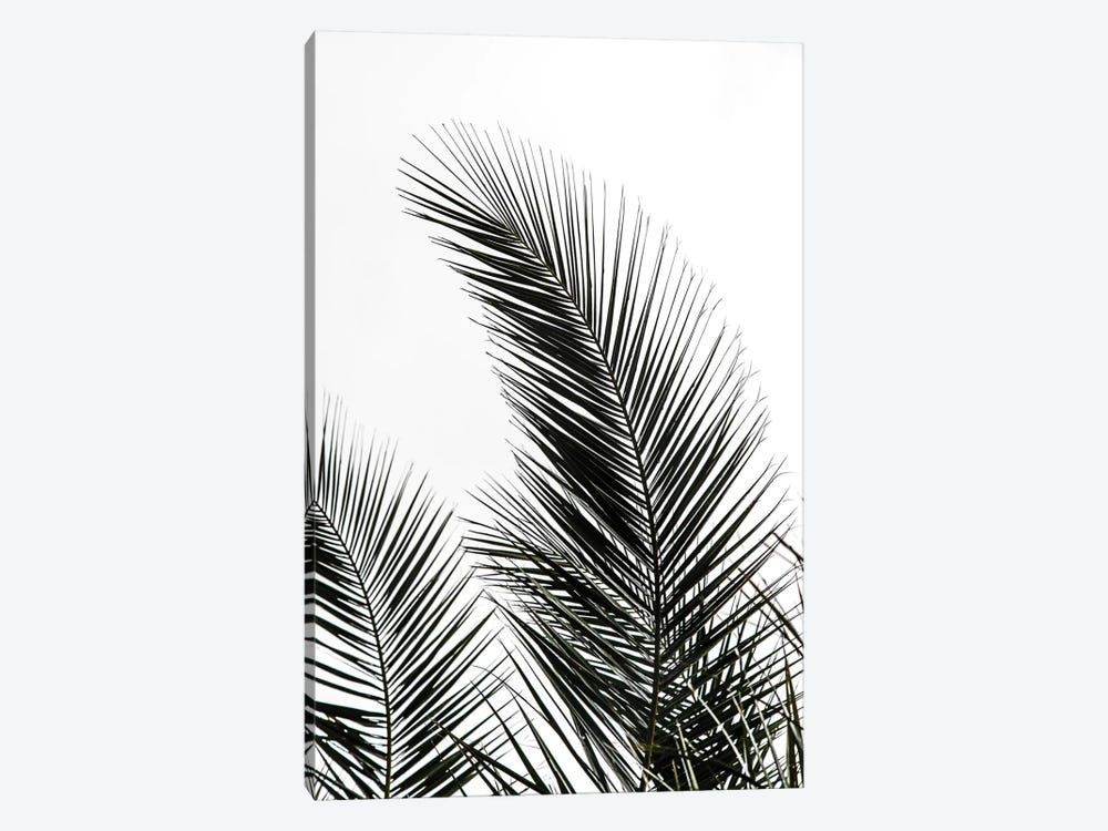 Palm Leaves I by Mareike Böhmer 1-piece Canvas Artwork