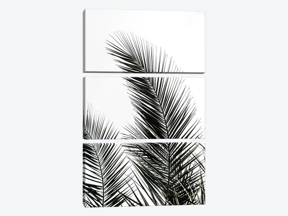 Palm Leaves I by Mareike Böhmer 3-piece Canvas Artwork