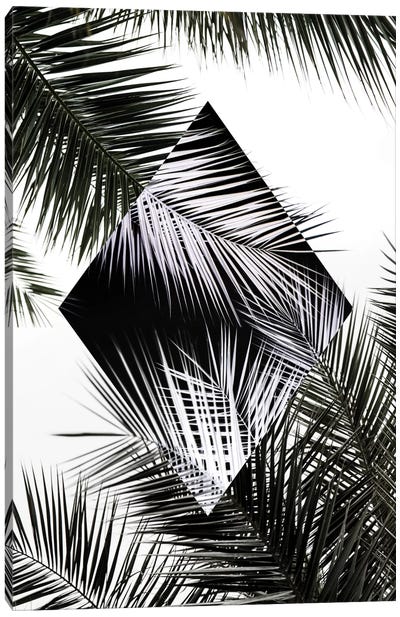 Palm Leaves II Canvas Art Print - Tropical Leaf Art