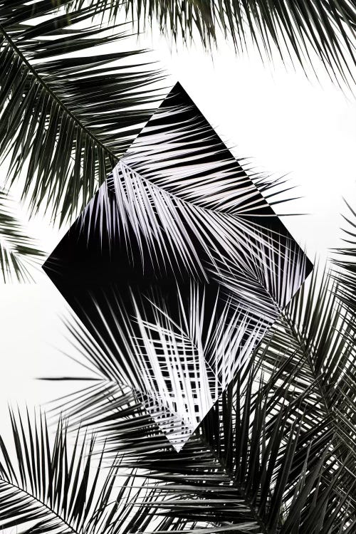 Palm Leaves II