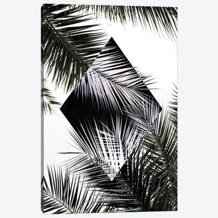 Palm Leaves II Canvas Print #BOH83} by Mareike Böhmer Art Print