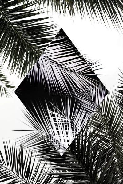 Tropical Leaves: Palm Leaves II by Mareike Böhmer