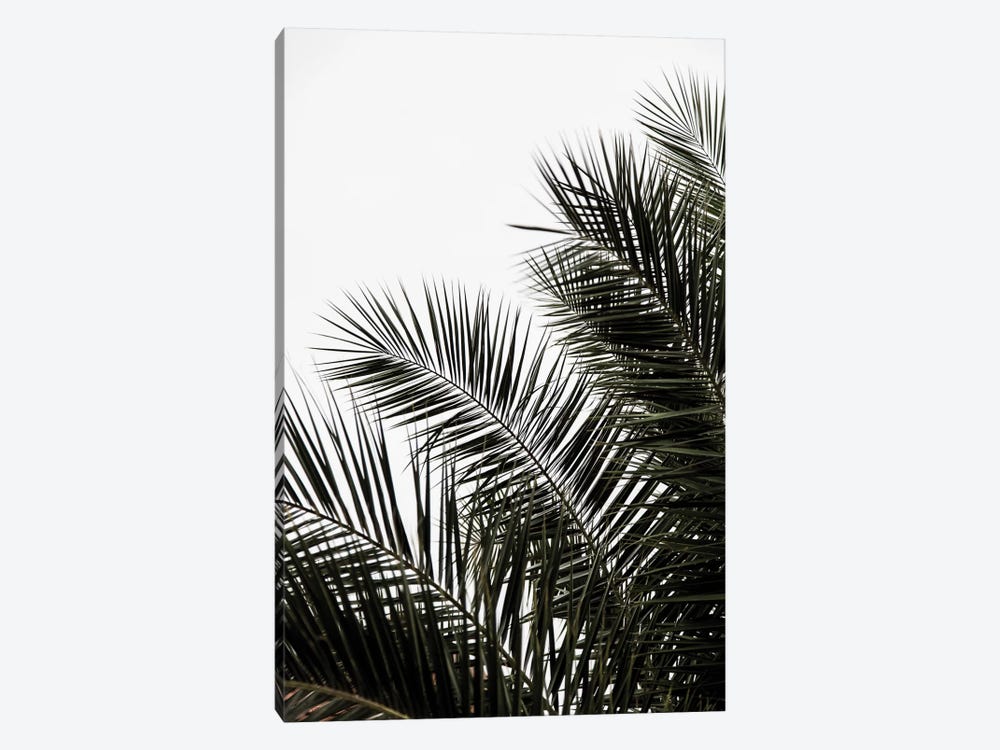 Palm Leaves III by Mareike Böhmer 1-piece Canvas Wall Art