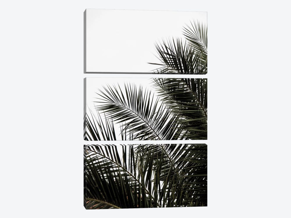 Palm Leaves III by Mareike Böhmer 3-piece Canvas Art