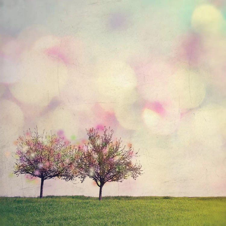 Perfect Day by Mareike Böhmer wall art