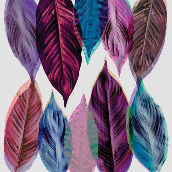 Tropical Leaves: Pink Leaves by Mareike Böhmer