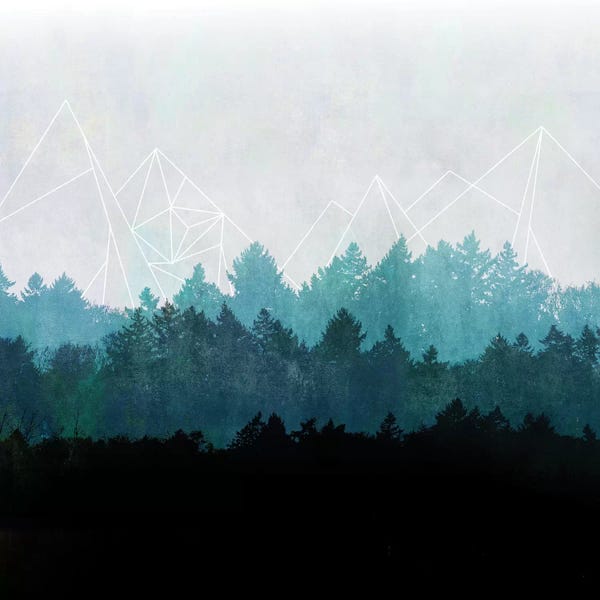 Evergreen Trees: Woods Abstract I by Mareike Böhmer