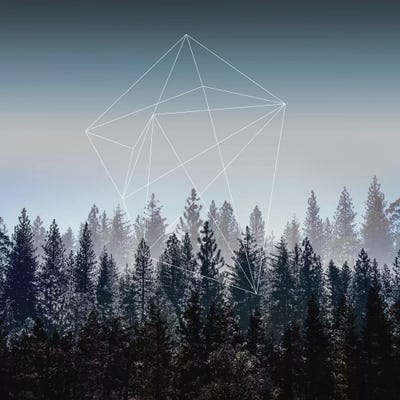 Woods I by Mareike Böhmer framed wall art