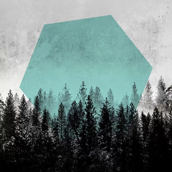 Evergreen Trees: Woods III by Mareike Böhmer