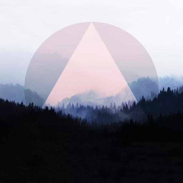 Black & Pink: Woods V.X by Mareike Böhmer