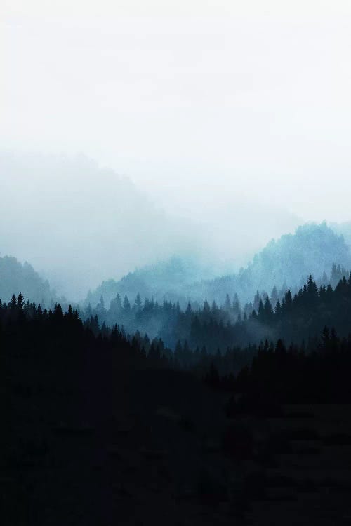 Woods V.Y