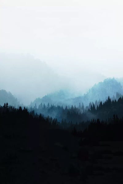 Woods V.Y