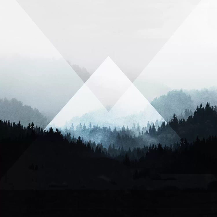 Woods V.Z