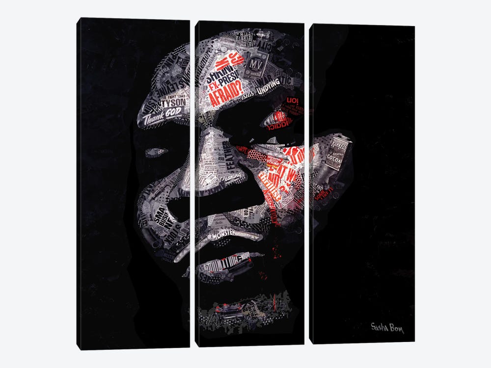 Tyson by Sasha Bom 3-piece Canvas Wall Art