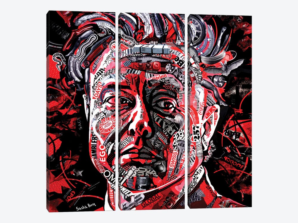 Elon Musk by Sasha Bom 3-piece Canvas Art Print