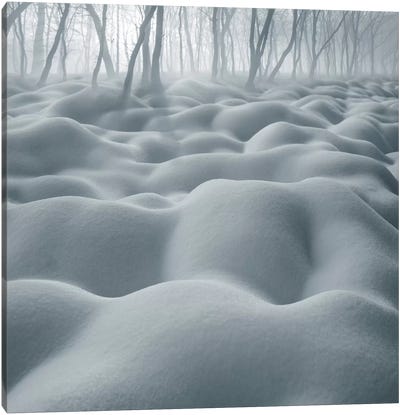 Dune Canvas Art Print - Snowscape Art