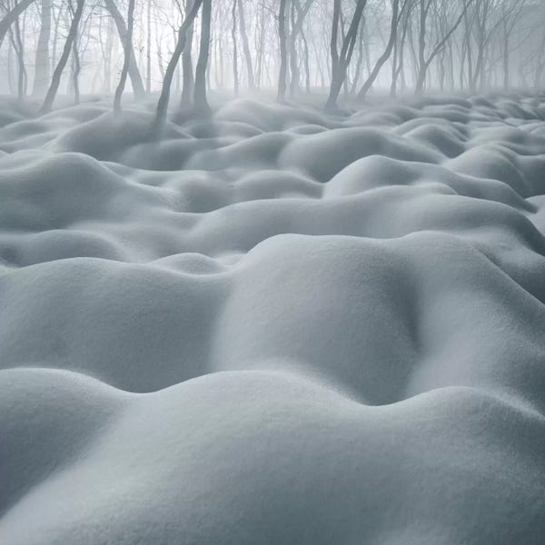 Holiday Décor: Dune by Adrian Borda