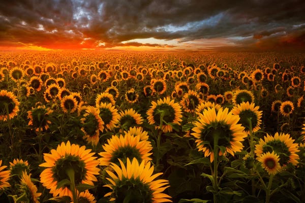 Hyperreal Photography: Echoes Of Light by Adrian Borda