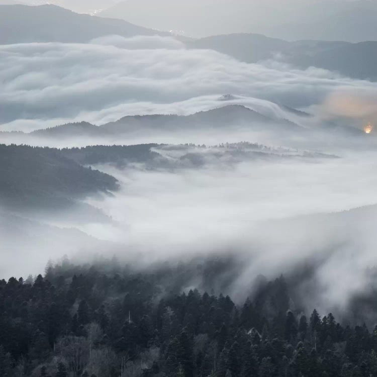 A Magical Dawn by Adrian Borda wall art