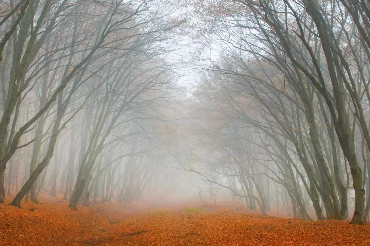 Let's Never Stop Falling In Love by Adrian Borda wall art